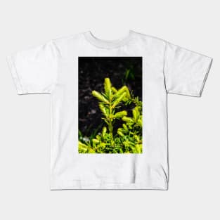 Evergreen in the Sun Kids T-Shirt